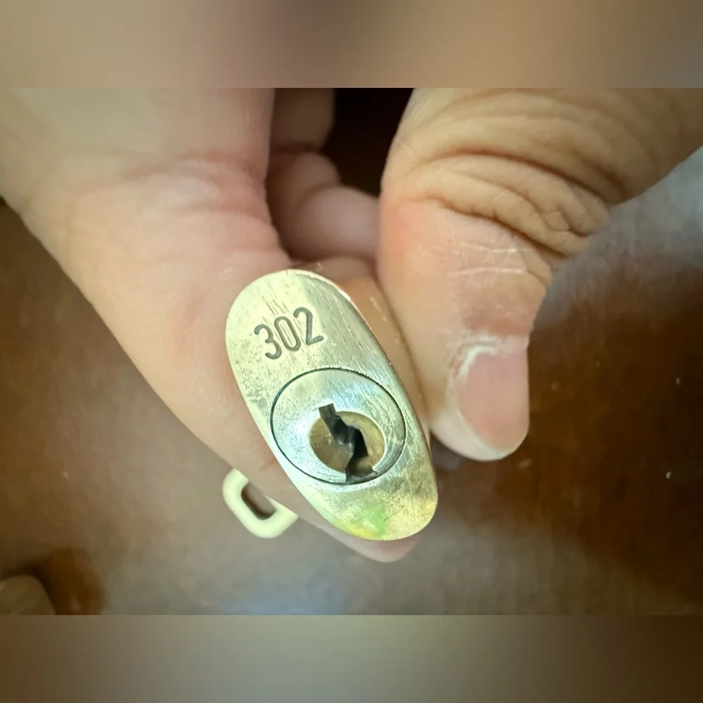 Louis vuitton brass lockset #302
